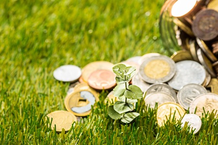 Plant growing in Coins glass jar for money on green grassの写真素材