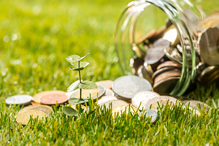 Plant growing in Coins glass jar for money on green grassの写真素材