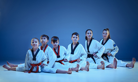 The studio shot of group of kids training karate martial artsの写真素材