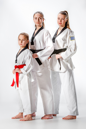 The studio shot of group of women posing as karate martial arts sportsmenの写真素材