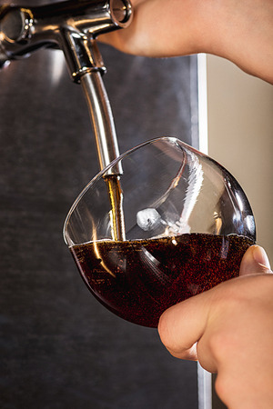 Hand of bartender pouring a large lager beer in tap.の写真素材