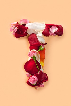 Letter T made from red roses and petals isolated on a white backgroundの写真素材