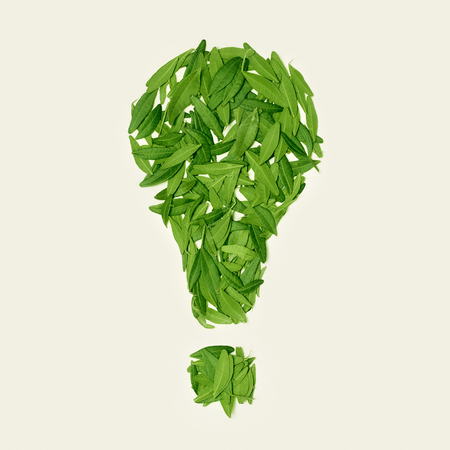 The green dry tea leaf, sign on white background, top viewの写真素材