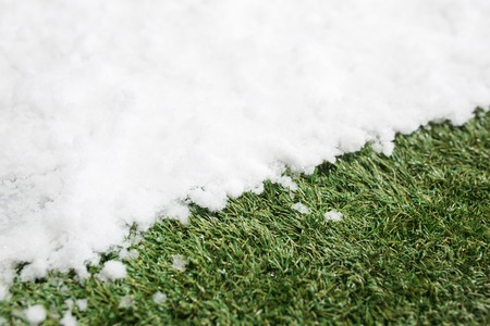 Meeting snow on green grass close up - between winter and spring concept backgroundの写真素材