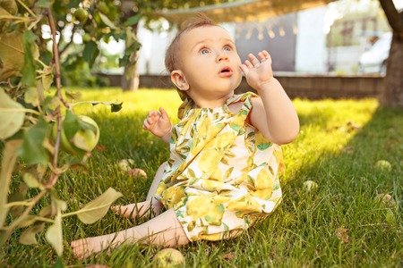 The happy young baby girl during picking apples in a garden outdoorsの写真素材