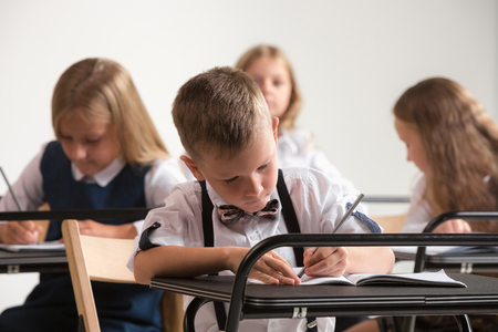 School children in classroom at lesson. The little boys and girls sitting at desks. Back to school, education, classroom, lesson, learn, lifestyle, childhood conceptの写真素材