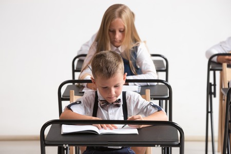 School children in classroom at lesson. The little boys and girls sitting at desks. Back to school, education, classroom, lesson, learn, lifestyle, childhood conceptの写真素材