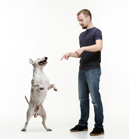 Emotional Portrait of surprised man and his dog, concept of friendship and care of man and animal. Bull Terrier type Dog on white studio background. The concept of humans and animals same emotionsの写真素材