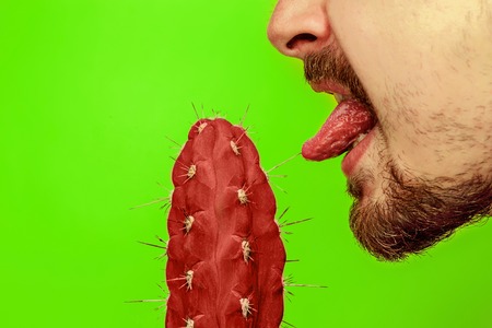 Man touching sharp cactus by tongue. Cactus Fashion Set Design. Minimal Stillife. Trendy Bright Colors. Lilac plant on green backgroundの写真素材