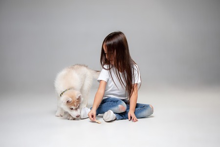 Portrait of a joyful little girl having fun with siberian husky puppy on the floor at studio. The animal, friendship, love, pet, childhood, happiness, dog, lifestyle conceptの写真素材