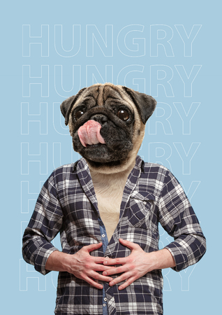 Contemporary art collage or portrait of positive dog headed man. Modern style pop zine culture concept. hungerの写真素材