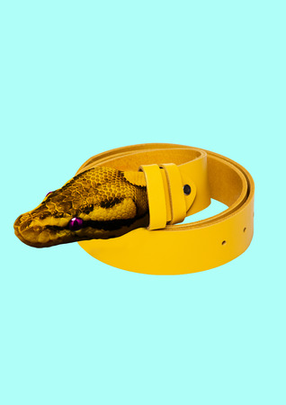 A genuine leather clothes and accessories. Nature materials for human narcissism and ego. A yellow...