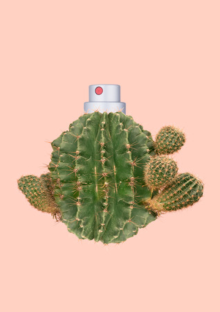 Natural parfum. Real smell of desert or natures blossom. Green cactus as a rounded bottle with the aromatic or toilet water against trendy coral background. Modern design. Contemporary art collage.の写真素材