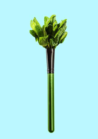 Natural cosmetics brings you youth. Bundle of green juicy spinat as a brush for powder, rouge or eyeshadow. Modern design. Contemporary art collage. Concept of nature beauty, veganism or fashion.の写真素材