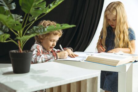 Boy and girl preparing for school after a long summer break. Back to school. Little caucasian models making homework together on studio background. Childhood, education, holidays or homework concept.の写真素材