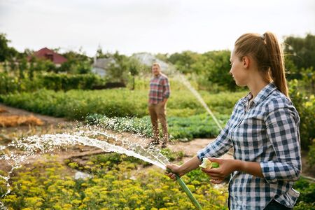 Young and happy farmers couple at their garden in sunny day. Man and woman engaged in the cultivation of eco friendly products. Concept of farming, agriculture, healthy lifestyle, family occupation.の写真素材