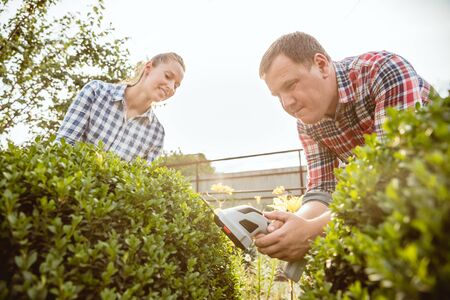 Young and happy farmers couple at their garden in sunny day. Man and woman engaged in the...