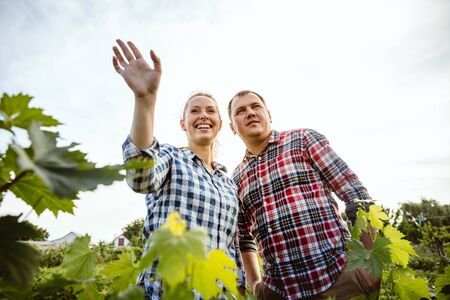 Young and happy farmers couple at their garden in sunny day. Man and woman engaged in the...