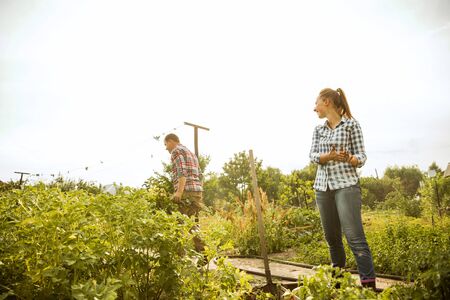 Young and happy farmers couple at their garden in sunny day. Man and woman engaged in the cultivation of eco friendly products. Concept of farming, agriculture, healthy lifestyle, family occupation.の写真素材