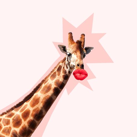 Giraffes head with shadow against it kissing by the big red female mouth. Negative space to insert your text. Modern design. Contemporary art collage. Concept of beauty of nature and animals.の写真素材