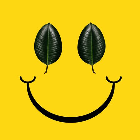 Nature's smile. Green leaves as an eyes, emotions of happiness on yellow background. Negative space to insert your text. Modern design. Contemporary art. Creative conceptual and colorful collage.の写真素材