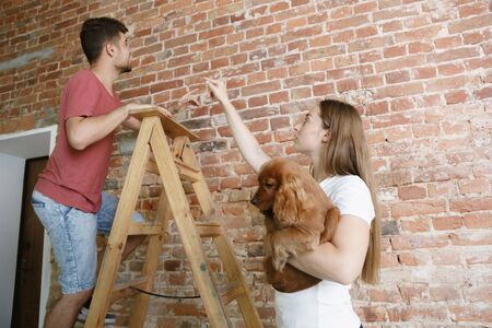 Young couple doing apartment repair together themselves. Married man and woman doing home makeover or renovation. Concept of relations, family, pet, love. Discuss the future design on the wall.の写真素材