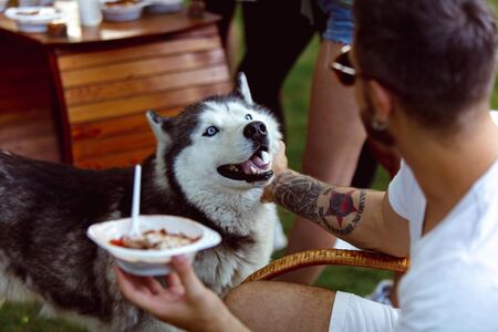 Young man and his dog at barbecue dinner on sunset time. Having meal outdoor in a forest glade or in backyard. Celebrating, relaxing. Summer lifestyle, food, resting, holidays, weekend, pet concept.の写真素材
