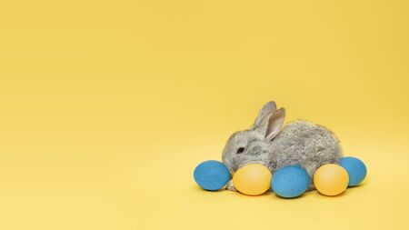 Egg hunt is coming. Adorable Easter bunny near by painted eggs isolated on yellow studio background, flyer for your ad. Greeting card with copyspace. Concept of holidays, spring, celebrating.の写真素材