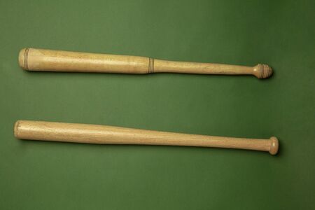 Bright wooden bat. Professional sport equipment isolated on green studio background. Concept of...