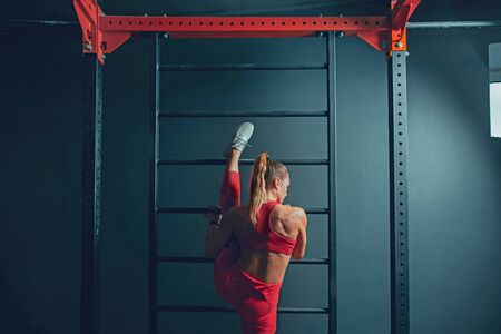 Vitality. Young muscular caucasian woman practicing in gym. Athletic female model doing strength exercises, training her lower, upper body, stretching. Wellness, healthy lifestyle, bodybuilding.の写真素材