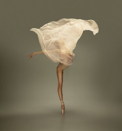 Flower blossom. Graceful classic ballerina dancing on grey studio background. Tender beige cloth. The grace, artist, movement, action and motion concept. Looks weightless, flexible. Fashion, style.の写真素材