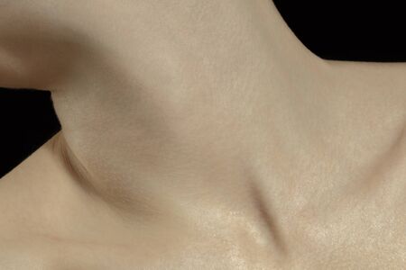 Collarbones. Detailed texture of human skin. Close up shot of young caucasian female body. Skincare, bodycare, healthcare, hygiene and medicine concept. Looks beauty and well-kept. Dermatology.の写真素材