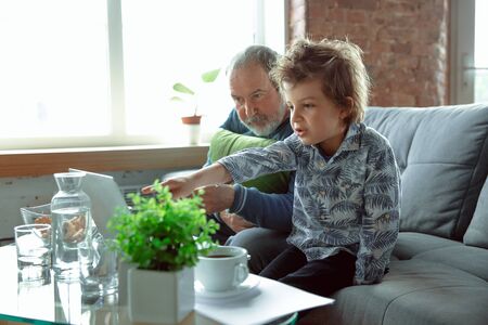 Using devices. Grandfather and his grandson spending time together insulated at home. Having fun, stadying online, reading and cleaning up. Concept of quarantine, family, love, realtions, togetherness.の写真素材