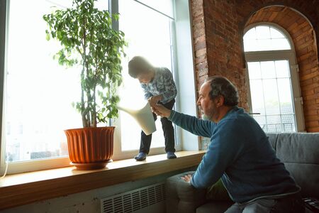 Home care. Grandfather and his grandson spending time together insulated at home. Having fun, rcaring for plants, watering. Concept of quarantine, family, love, realtions, togetherness, education.の写真素材
