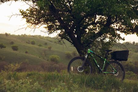 Bike left near tree with green nature around it. Countryside park, riding bikes, spending time healthy. Calm nature, spring day, positive emotions. Sportive, active leisure activity. Traveling.の写真素材