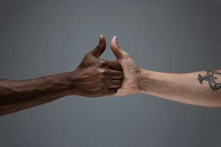 Friends time. Racial tolerance. Respect social unity. African and caucasian hands gesturing on gray studio background. Human rights, friendship, intenational unity concept. Interracial unity.の写真素材