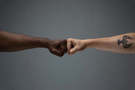 Greeting fist bump. Racial tolerance. Respect social unity. African and caucasian hands gesturing on gray studio background. Human rights, friendship, intenational unity concept. Interracial unity.の写真素材