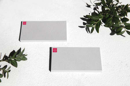 Devices or gadgets with copyspace for ad - mockup, digital concept. Office or co-working location...