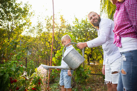 Weekend. Happy young family during picking berries in a garden outdoors. Love, family, lifestyle, harvest, autumn concept. Cheerful, healthy and lovely. Organic food, agriculture, gardening.の写真素材