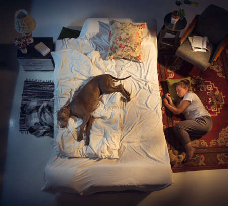 Portrait of a woman, female breeder sleeping in the bed with her dog at home. Top view. Dressed housekeeper sleeping after tiring work day. Holding his pet close to. Job, work, pets love concept.の写真素材