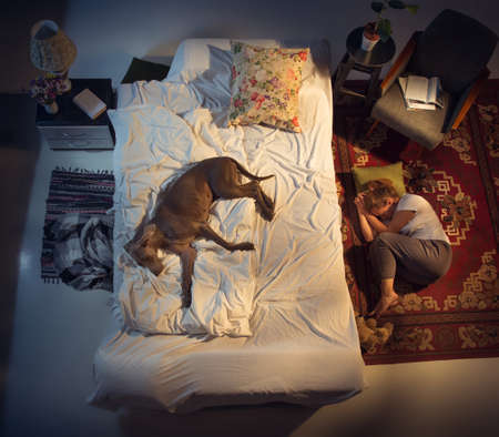 Portrait of a woman, female breeder sleeping in the bed with her dog at home. Top view. Dressed housekeeper sleeping after tiring work day. Holding his pet close to. Job, work, pets love concept.の写真素材