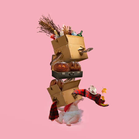 Collage of halloween witches equipment on coral background, Saints Eve. Pumpkin, potion, hat, books, broom. Black friday, sales concept. Copyspace. October, autumn time Creative artworkの写真素材