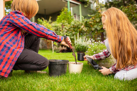 Farmers. Happy brother and sister planting in a garden outdoors together. Love, family, lifestyle, harvest, autumn concept. Cheerful, healthy and lovely. Organic food, agriculture, gardening.の写真素材