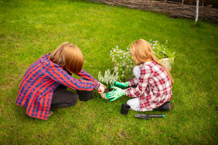 Farmers. Happy brother and sister planting in a garden outdoors together. Love, family, lifestyle, harvest, autumn concept. Cheerful, healthy and lovely. Organic food, agriculture, gardening.の写真素材