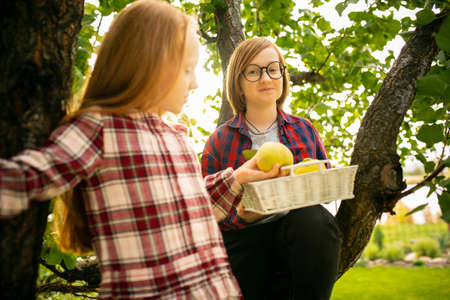 Vitamins. Happy brother and sister gathering apples in a garden outdoors together. Love, family,...