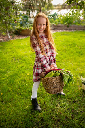 Happy little caucasian girl with bucket of seasonal food in a garden outdoors. Love, family, lifestyle, harvest, autumn concept. Cheerful, healthy and lovely. Organic food, agriculture, gardening.の写真素材