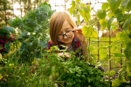 Happy little caucasian boy planting seasonal plants in a garden outdoors. Love, family, lifestyle,...