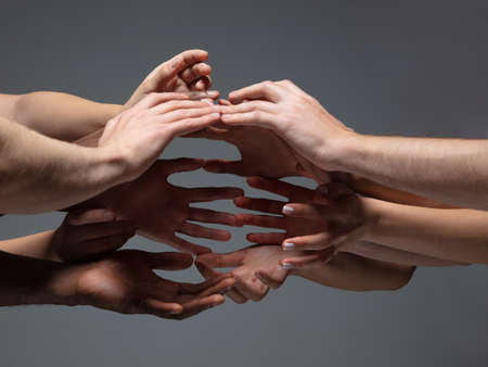 Rescuing. Hands of peoples crows in touch isolated on grey studio background. Concept of human...