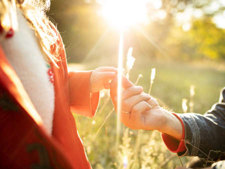 Close up hands of happy father and little cute daughter walking down the forest path in autumn sunny...