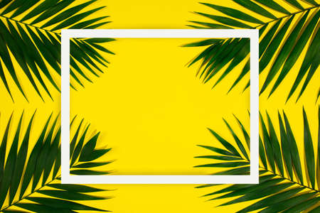 Exotic green tropical palm leaves isolated on yellow background with white geometric frame. Design for invitation cards, flyers. Abstract design templates for posters, covers, wallpapers with copyspace for text.の写真素材